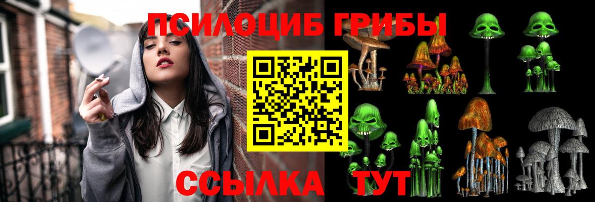 Псилоцибиновые грибы прущие грибы Лесной